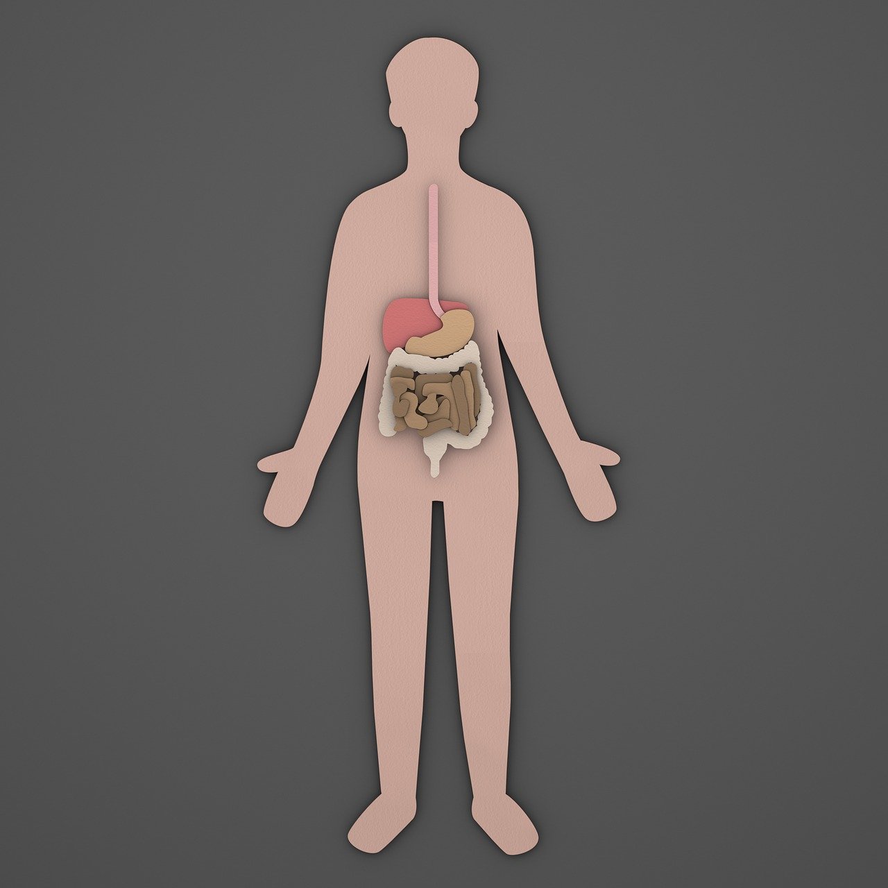 장 건강에 좋은 습관 배변 리듬부터 점검해야 하는 이유