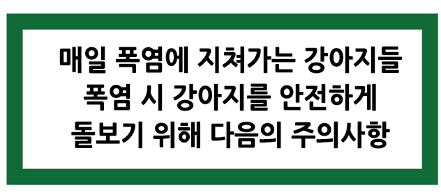 Alt 속성 문제 해결 설명 이미지