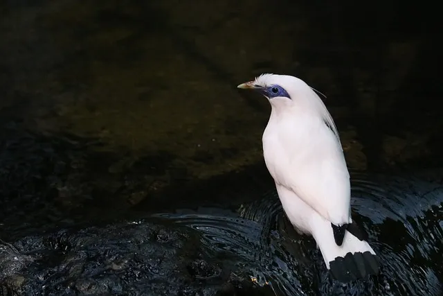 만재도 배편 배시간표 목포 예매 요금_2