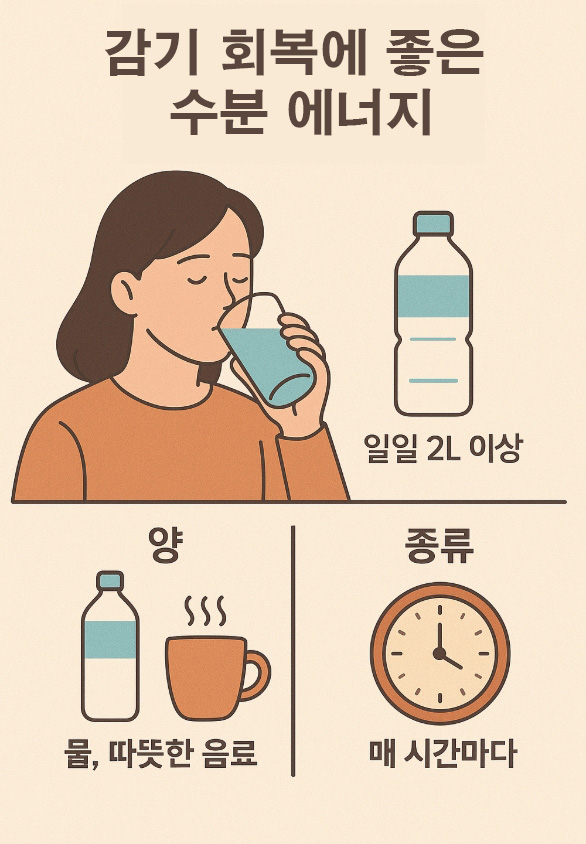 감기회복에 좋은 수분 에너지