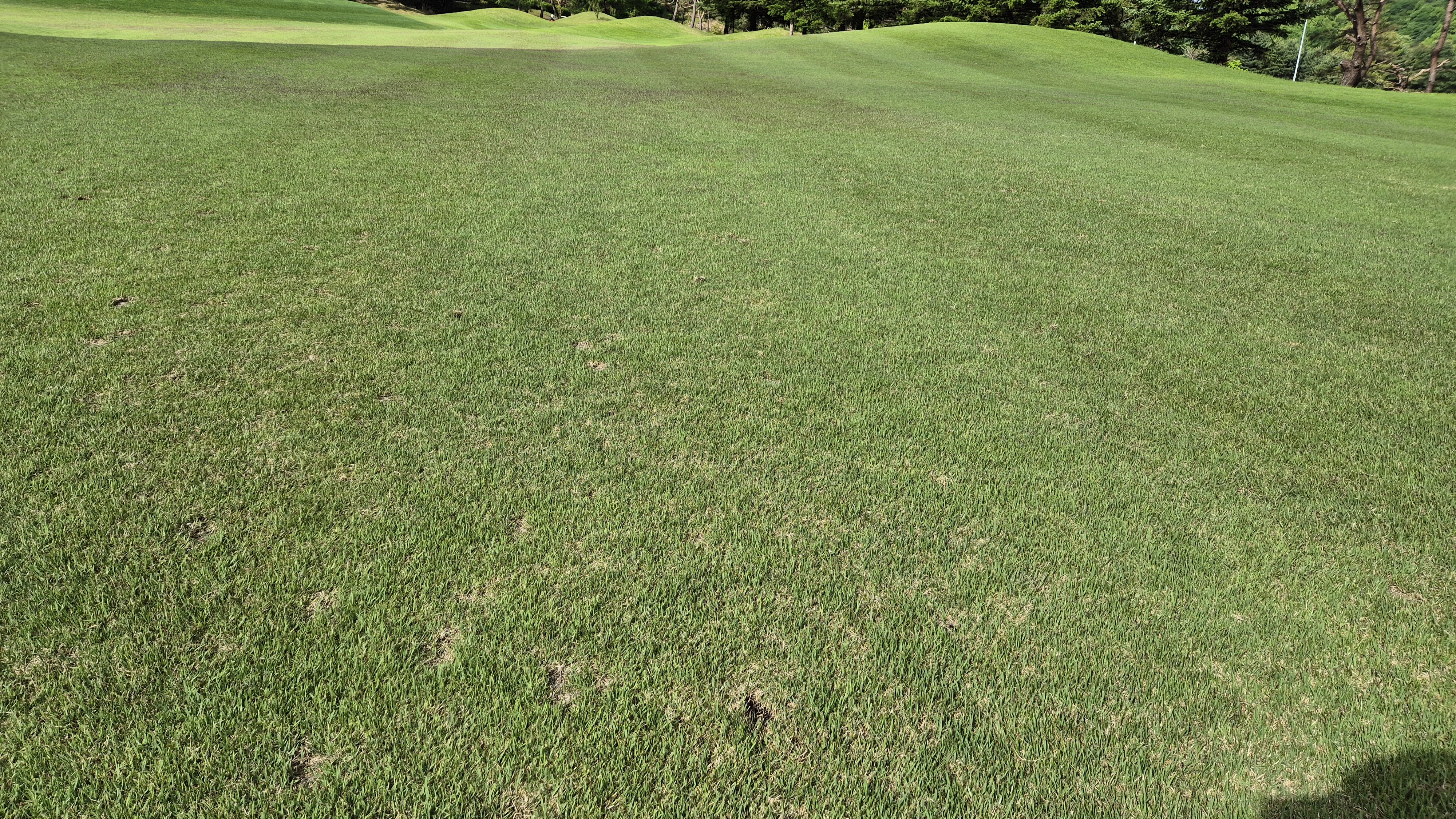 파크밸리gc 라운드 후기