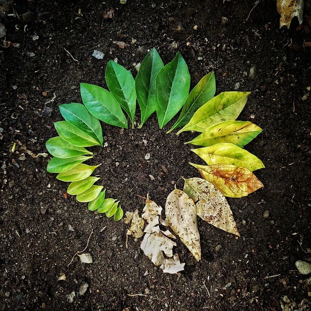 인공지능 교통 예측과 디지털 트윈의 융합