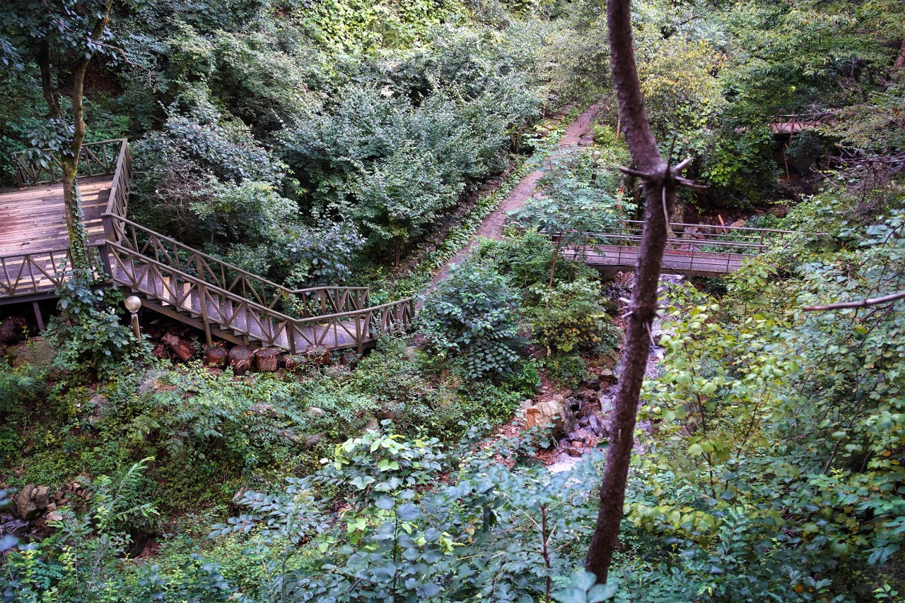 청평자연휴양림