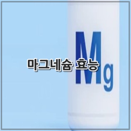 마그네슘 효능