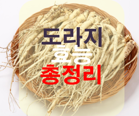 도라지 한바구니