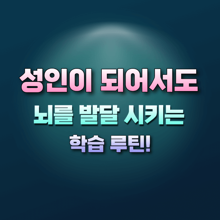 뇌발달학습루틴