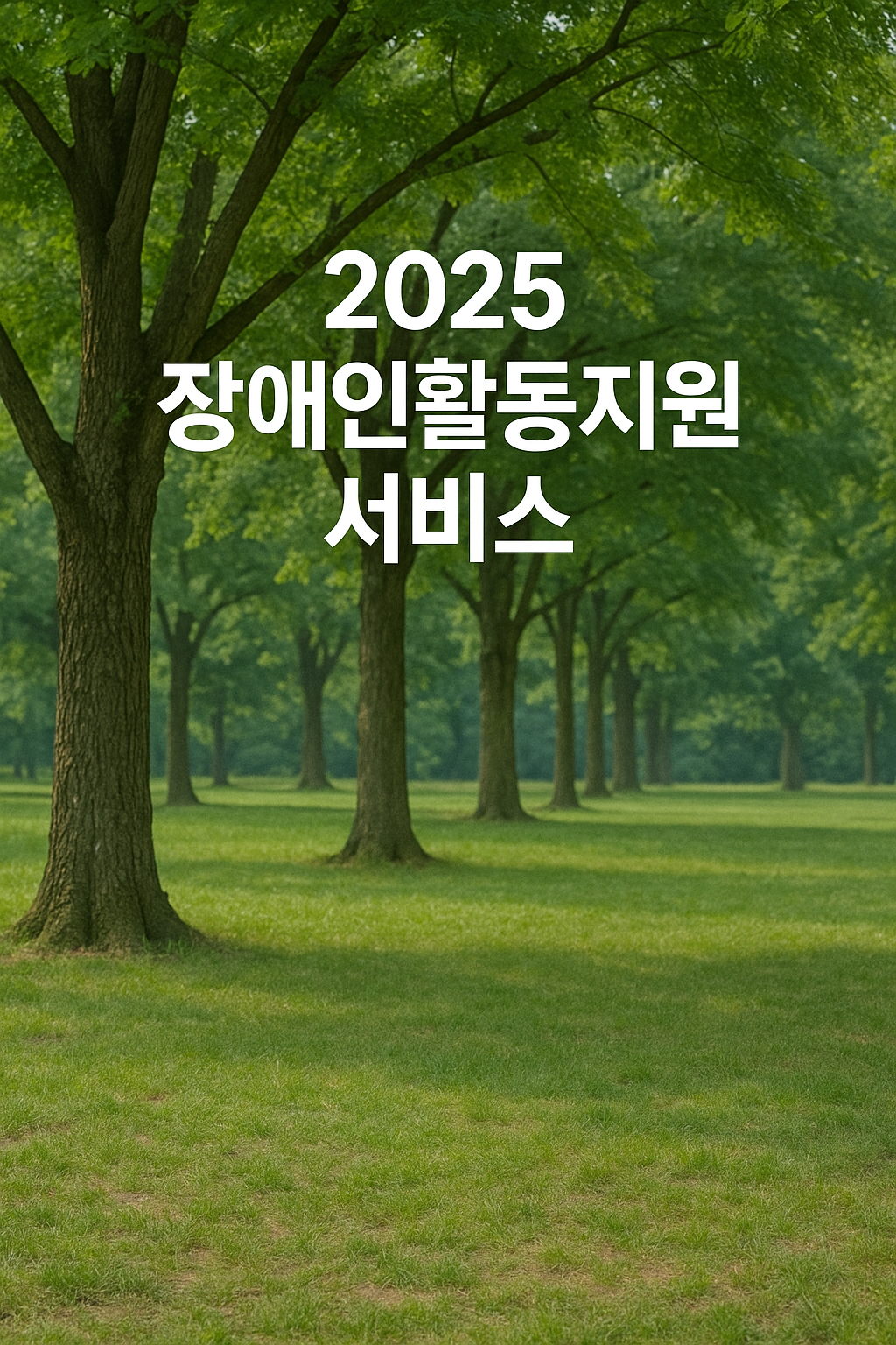2025년 장애인활동지원서비스 변경사항｜자격&middot;급여&middot;시간 확대