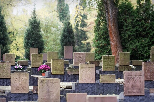 임사체험(NDE)은 죽음의 증거인가?