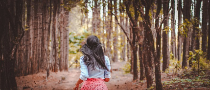 산림청 실시간 산불정보 바로보기