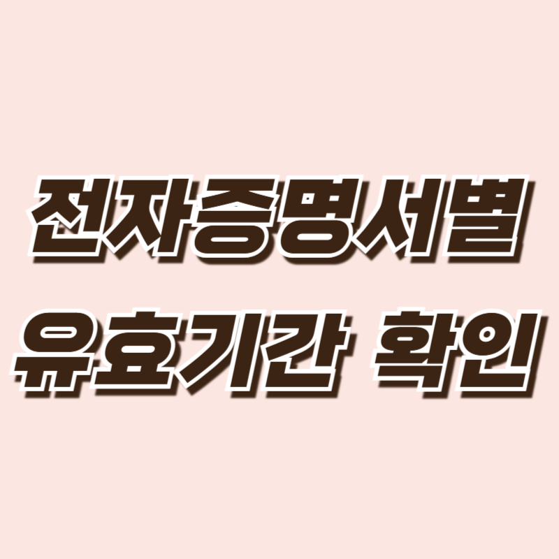전자증명서별 유효기간 확인 &ndash; 초보자도 쉽게 알 수 있는 가이드