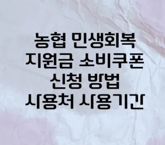 농협 민생회복지원금 잔액조회 방법 완벽 정리 사용처 확인방법_7