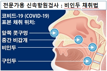참조 : FDA 비인두 채취법