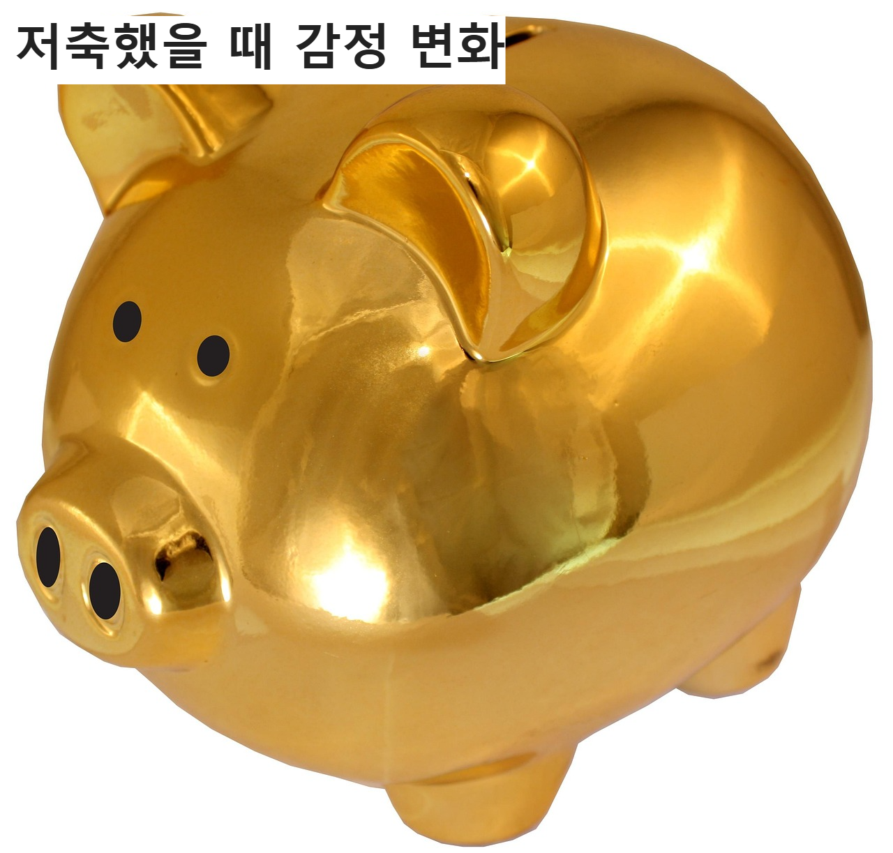 돼지 저금통 사진