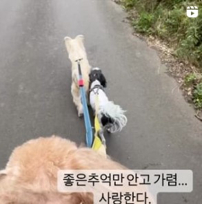 장필순 카뮈