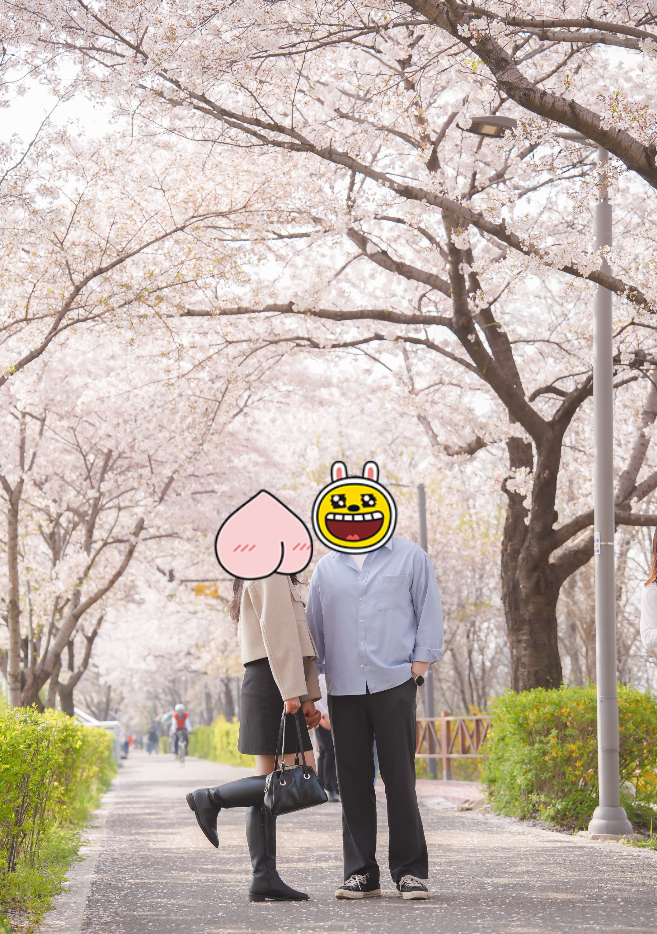 수서 탄천길 벚꽃