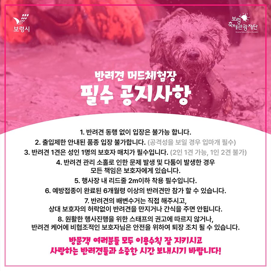 반려견 머드체험장