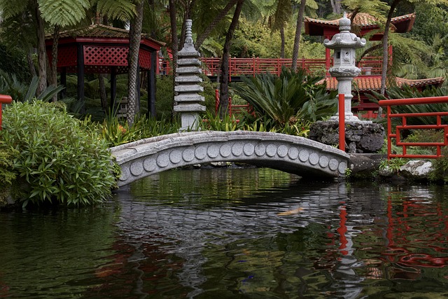 도심 속에서 만나는 일본 정원 – 해머 박물관 뒷마당 (Japanese Garden at Hammer Museum)