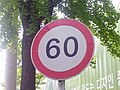 최고속도제한(60km/h)
