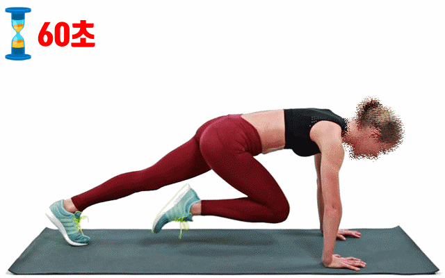 마운틴 클라이머, 허리22인치 트와이스 모모 복근운동 개미허리 다이어트, 팁줌 매일꿀정보