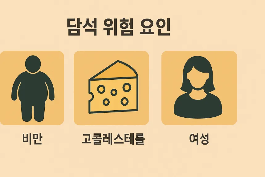 담석증 원인