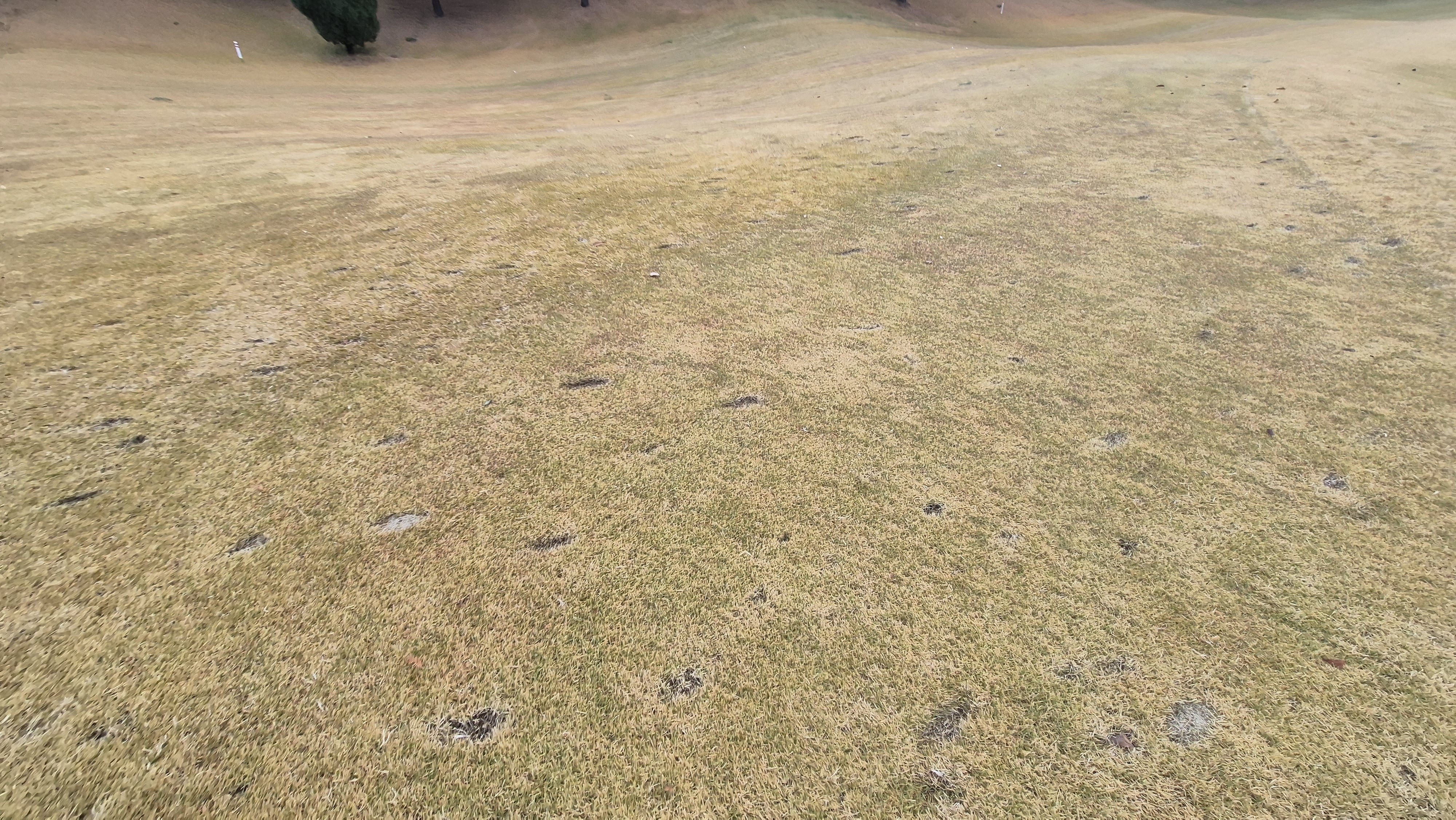 올데이 떼제베cc 가람-누리(서-남) 코스난이도