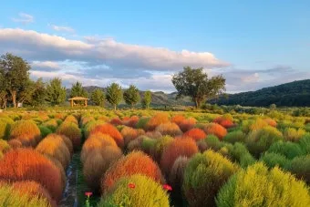 연천 가볼만한곳 베스트10 추천 명소_16