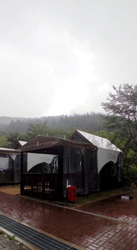 솔막 전체적인 외관모습