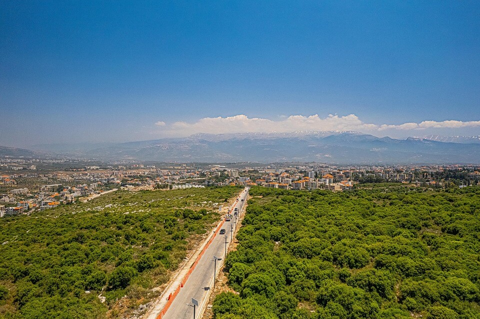 AI와 도시 나무와 곤충 군집 변화 예측 시스템