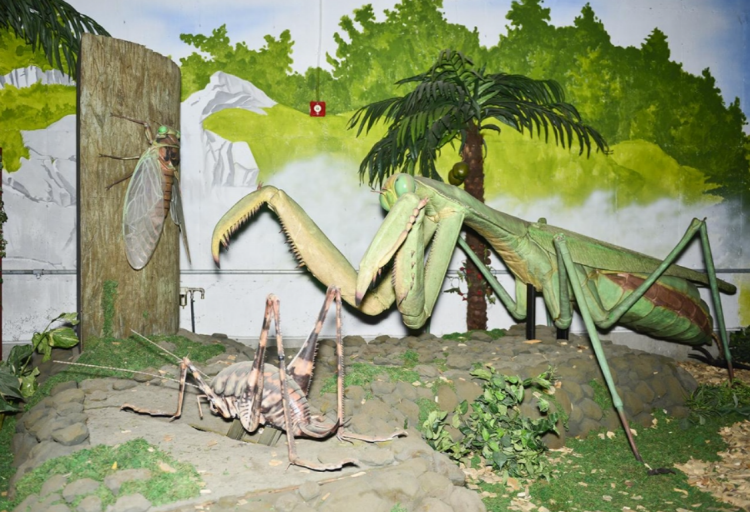 덕평 공룡수목원