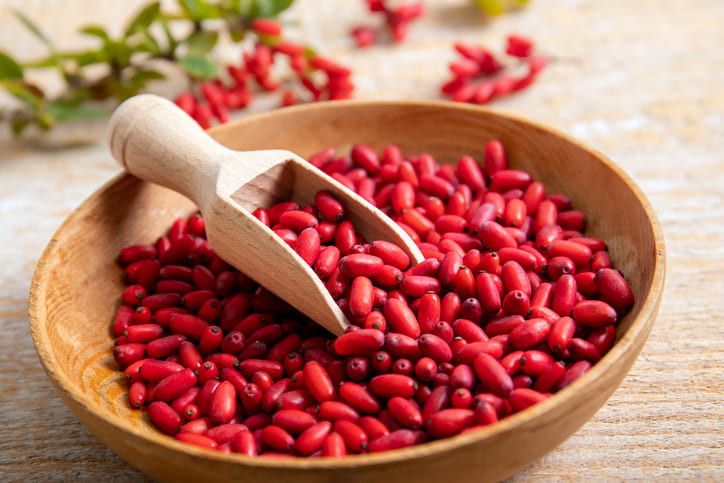 베르베린-혈당관리-효과