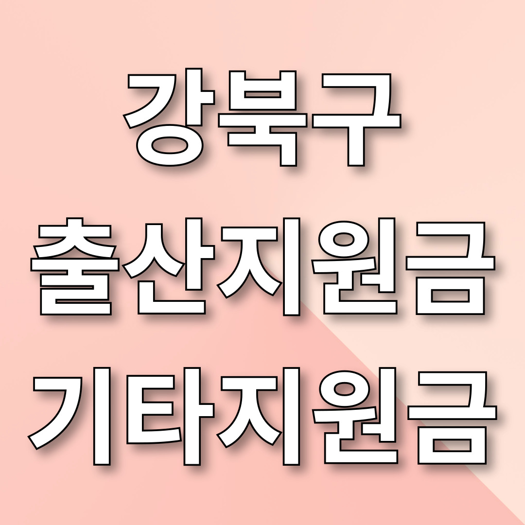 강북구 출산지원금