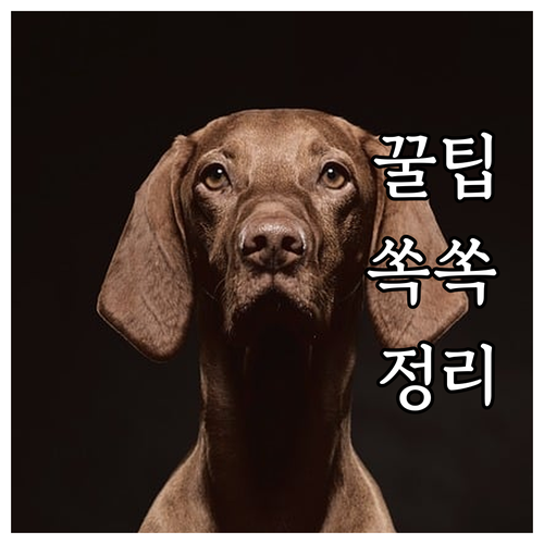 현대카드 도시가스 자동납부 혜택 확인..