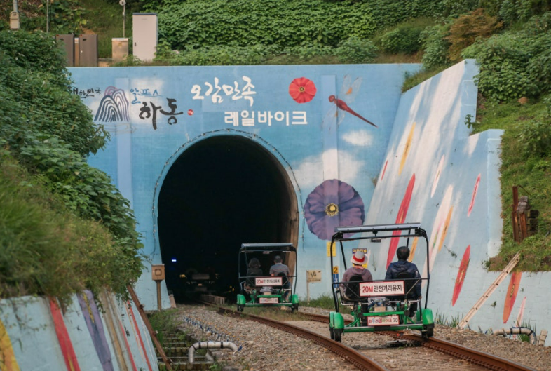 하동 북천 코스모스 메밀꽃축제 정보