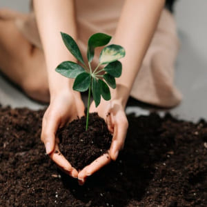 기초생활보장, 의료급여 대상자 의료급여 급여기준