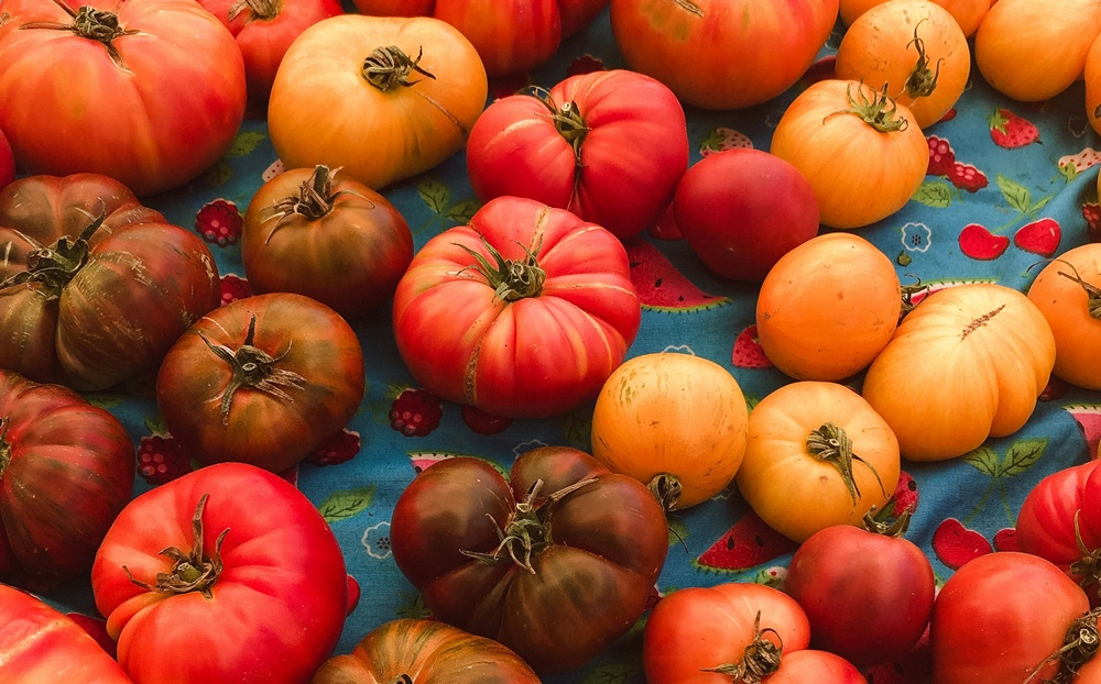 에어룸 토마토 관련 이미지