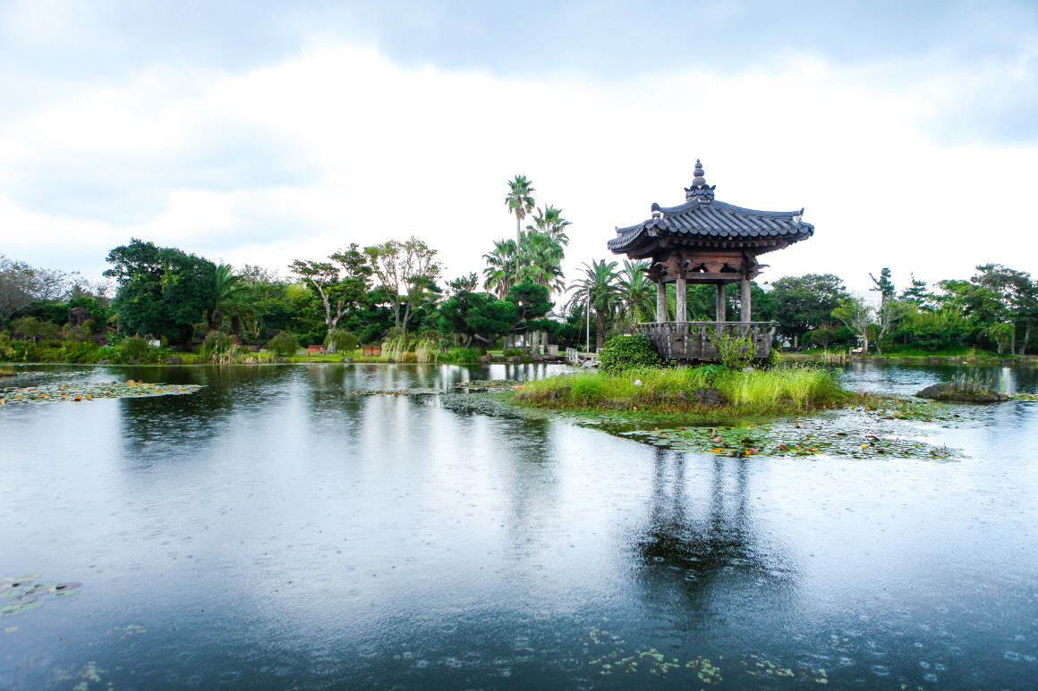 제주 노리매공원 유채꽃부터 매화까지, 감성 정원 테마파크