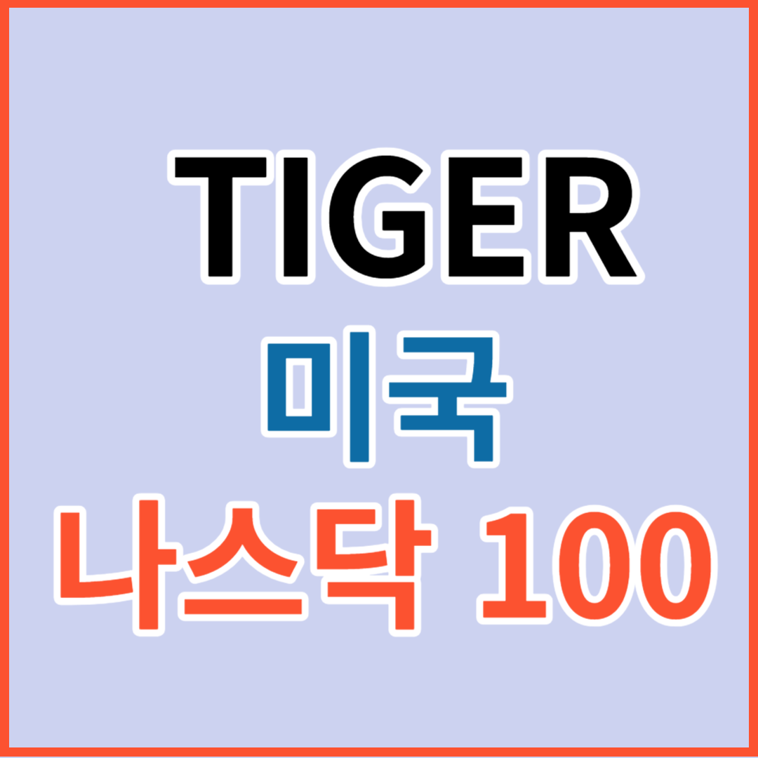 TIGER 미국나스닥100