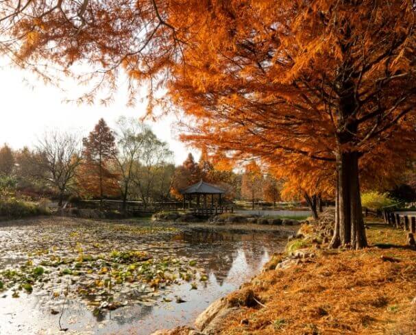 전주 가볼만한곳 베스트 10