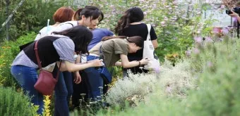 라벤더 재배 배수 확보 햇빛 관리 향 오래 유지_12