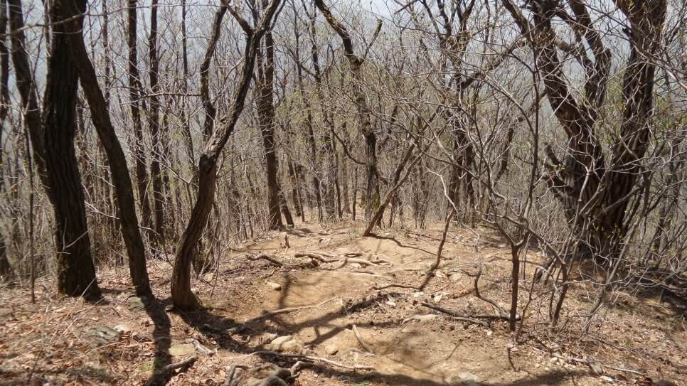 100대 명산 등산하기 서른세번째 제천 금수산 비경과 전설이 살아 숨 쉬는 충북의 대표 명산