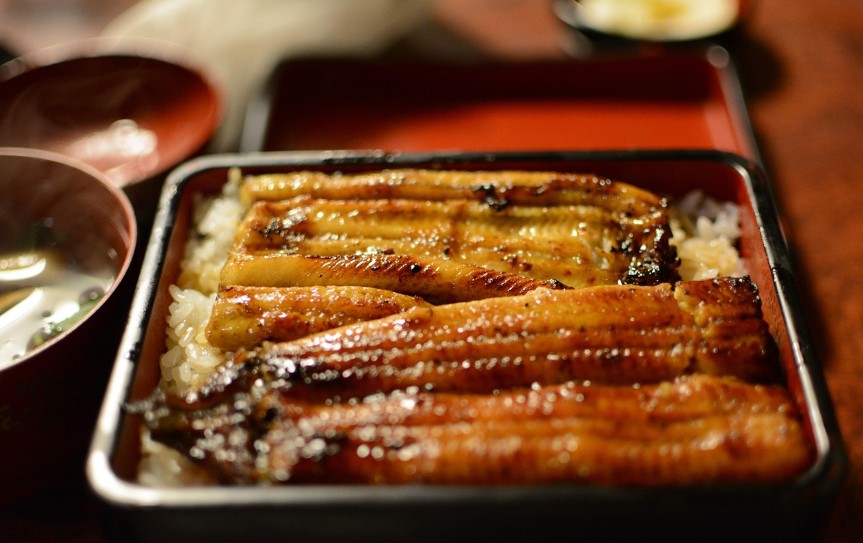 단백질과 불포화지방산이 풍부한 장어구이