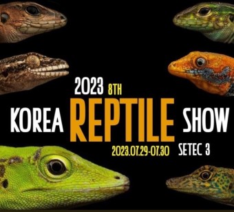 코리아렙타일쇼