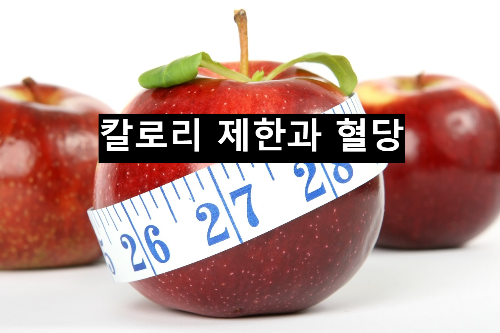 칼로리 제한과 혈당