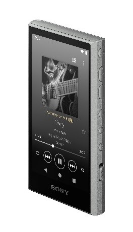 NW-A306 그레이