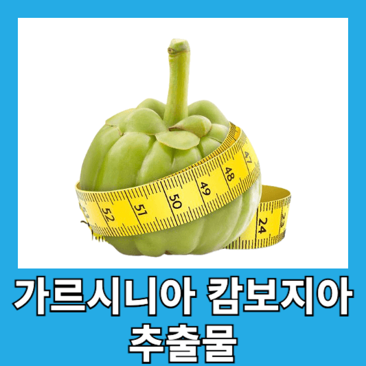 가르시니아 캄보지아 추출물