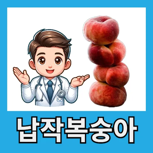유럽복숭아 납작복숭아란? 도넛 복숭아 UFO 복숭아 납작복숭아 효능 묘목 거반도 가격 제철 부작용