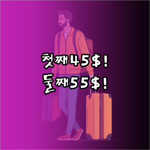 2026년 델타항공 수하물 완벽 정리..