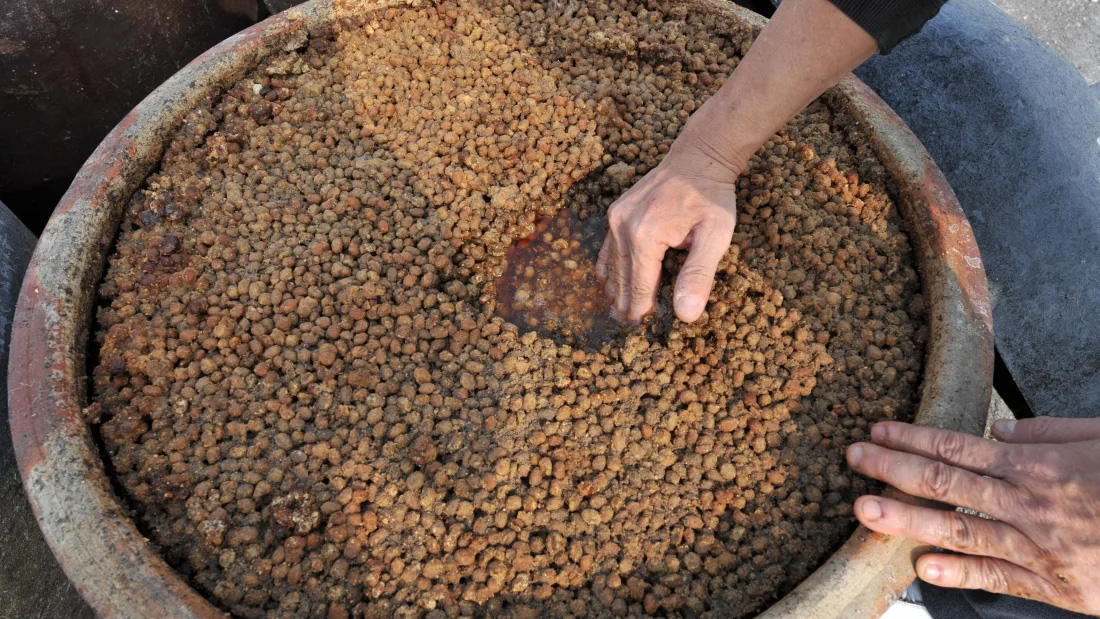 일본간장제조과정