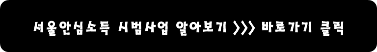서울안심소득 시범사업 알아보기