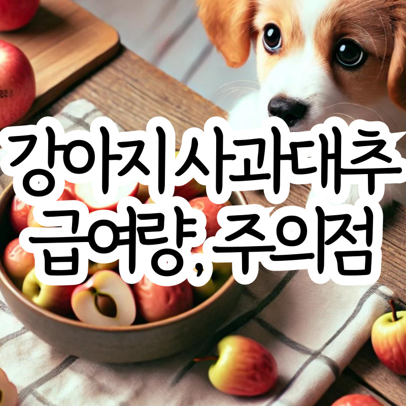 강아지 사과대추 먹어도 될까 주의점, 급여량